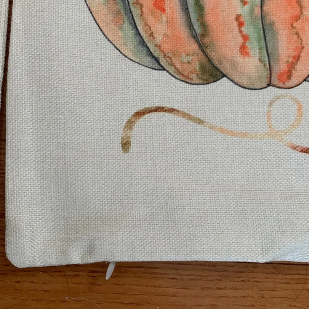 3/$15 Set of 4 Pumpkin Themed Decorative Pillow Covers Size 18x18 - Picture 2 of 2